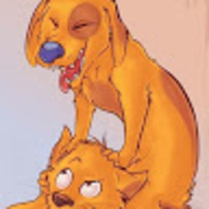 Meet your Posher, Layla